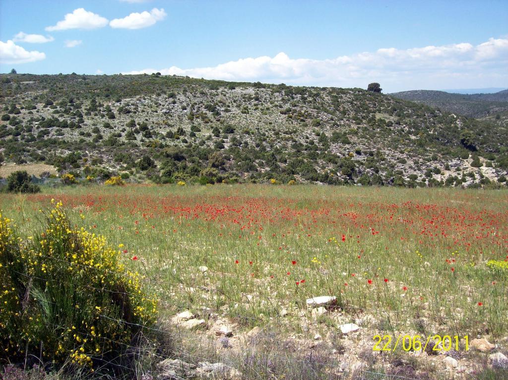 Sol Mediterraneo Archena Dış mekan fotoğraf