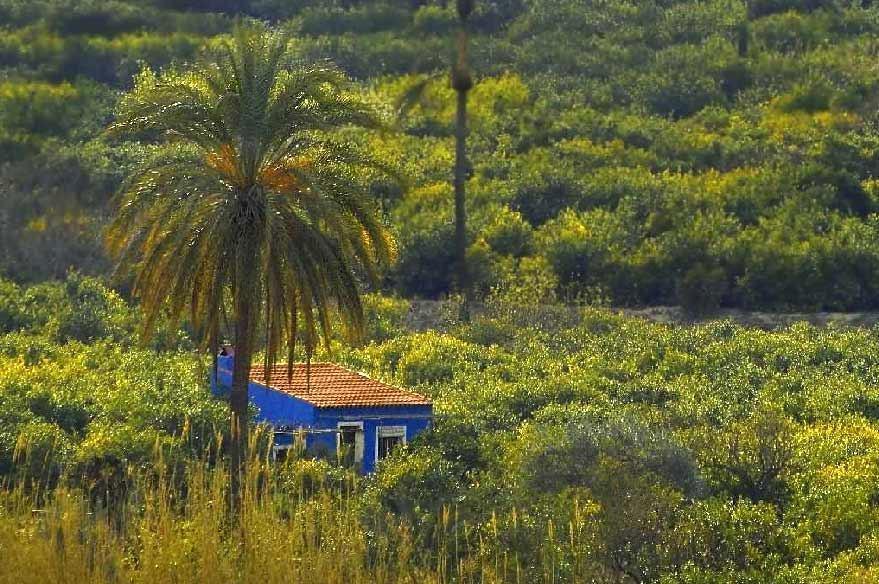Sol Mediterraneo Archena Dış mekan fotoğraf