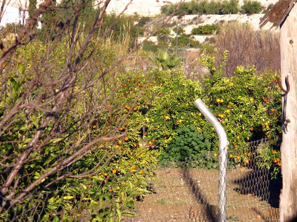Sol Mediterraneo Archena Dış mekan fotoğraf