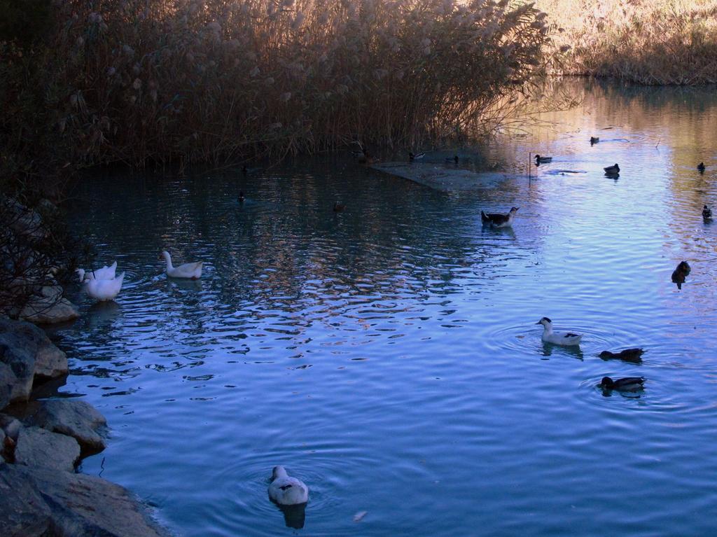 Sol Mediterraneo Archena Dış mekan fotoğraf