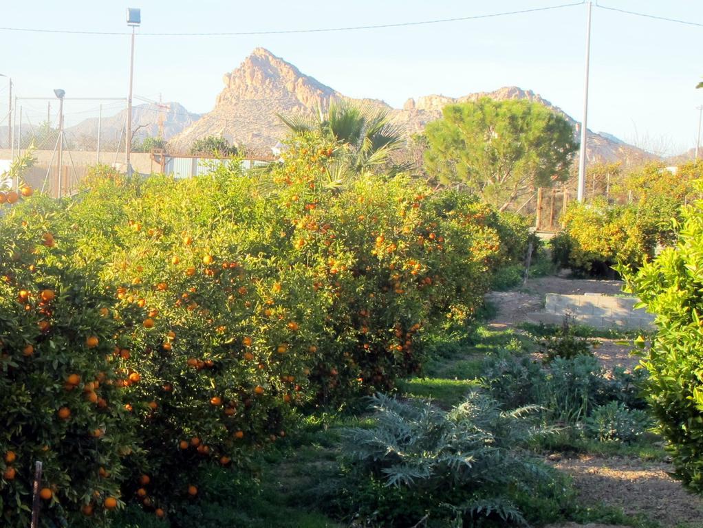 Sol Mediterraneo Archena Dış mekan fotoğraf