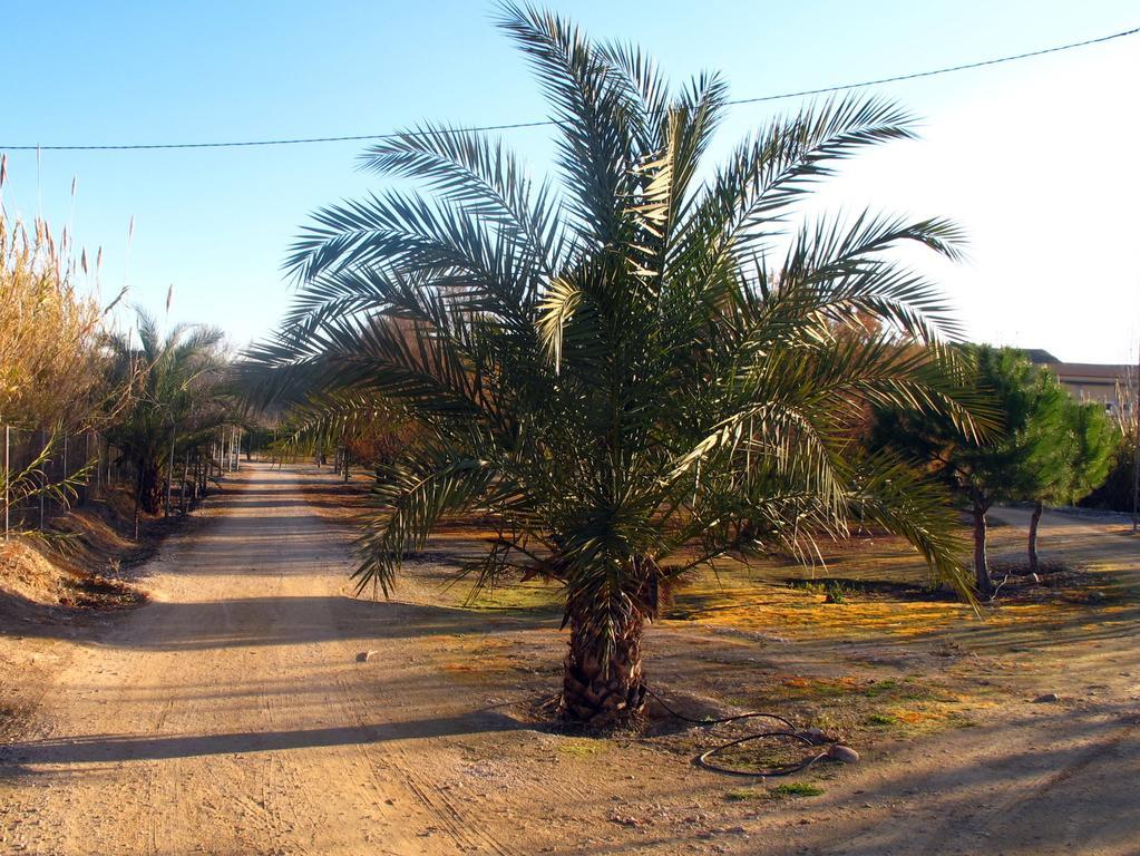 Sol Mediterraneo Archena Dış mekan fotoğraf