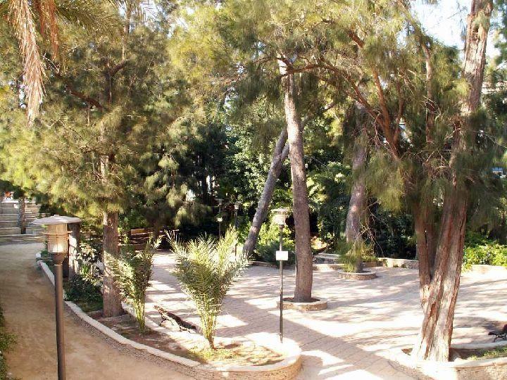 Sol Mediterraneo Archena Dış mekan fotoğraf